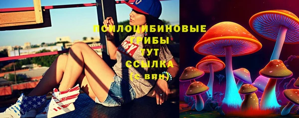 сатива Новочеркасск
