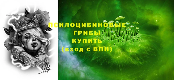 гашик Магас