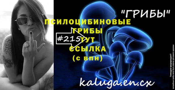 гашик Магас