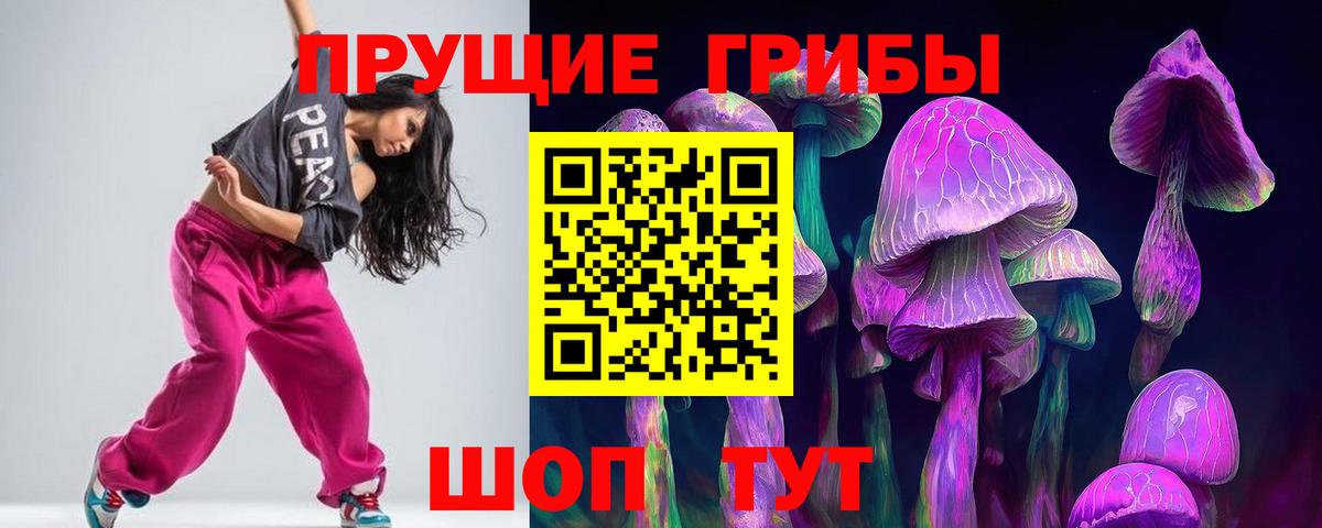 Псков  Псилоцибиновые грибы прущие грибы  Вход с VPN 